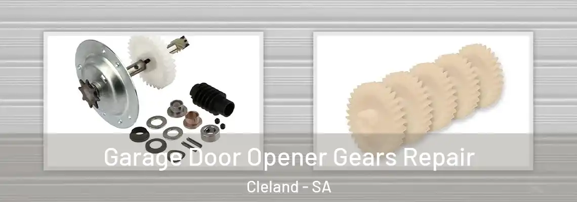 Garage Door Opener Gears Repair Cleland - SA