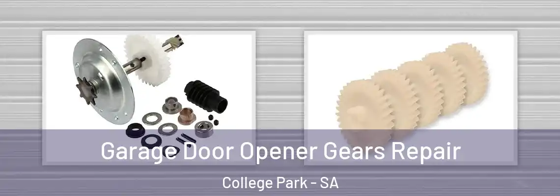 Garage Door Opener Gears Repair College Park - SA