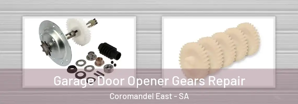 Garage Door Opener Gears Repair Coromandel East - SA