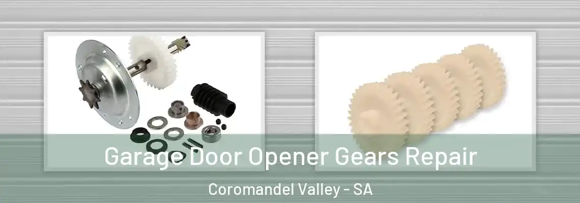 Garage Door Opener Gears Repair Coromandel Valley - SA