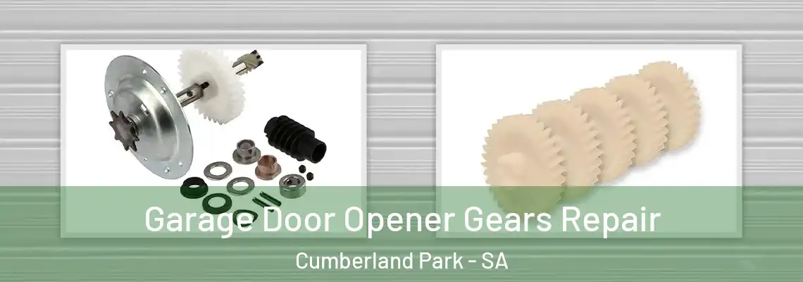 Garage Door Opener Gears Repair Cumberland Park - SA
