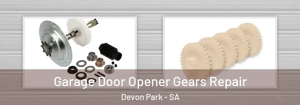 Garage Door Opener Gears Repair Devon Park - SA