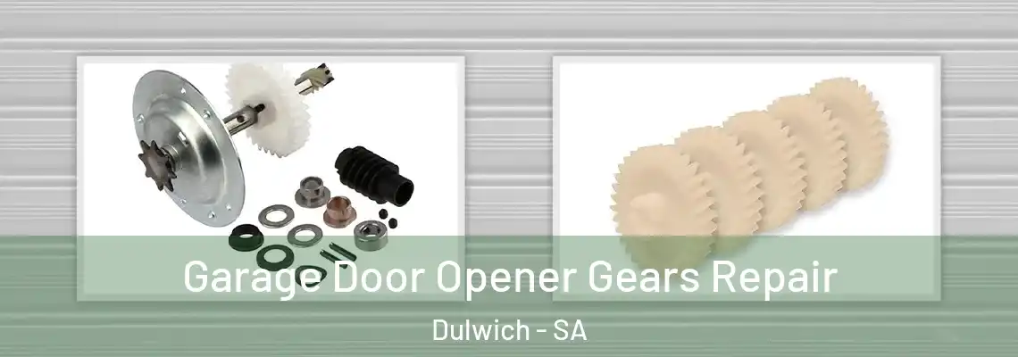 Garage Door Opener Gears Repair Dulwich - SA