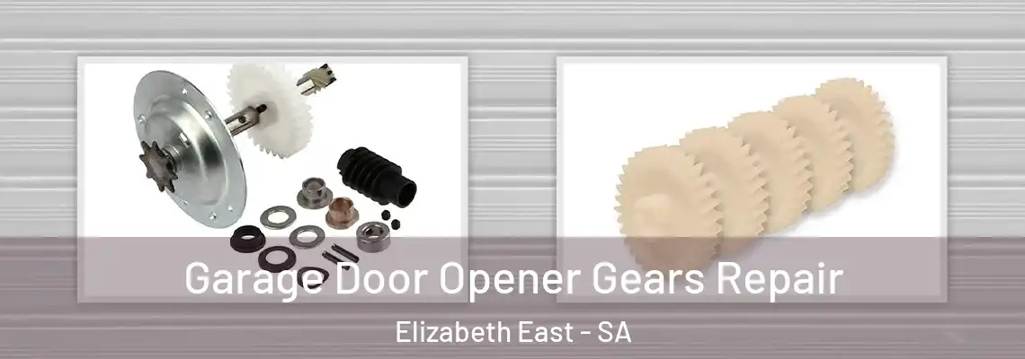  Garage Door Opener Gears Repair Elizabeth East - SA