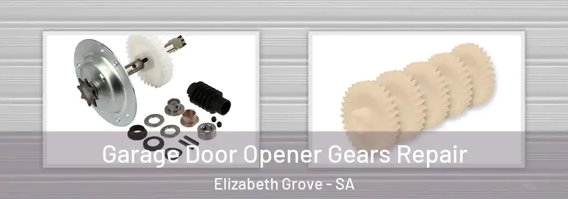  Garage Door Opener Gears Repair Elizabeth Grove - SA