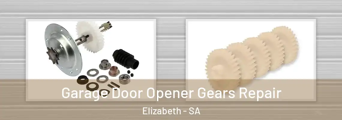 Garage Door Opener Gears Repair Elizabeth - SA