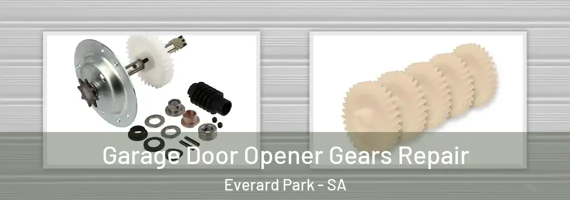Garage Door Opener Gears Repair Everard Park - SA