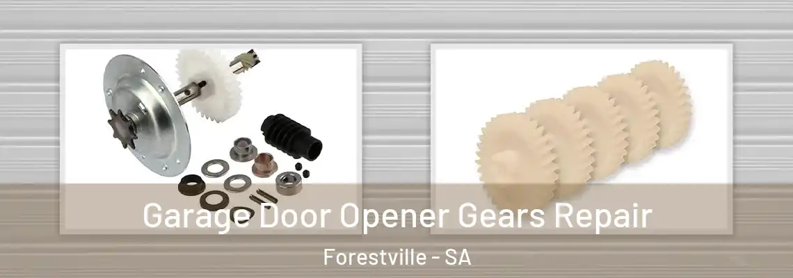 Garage Door Opener Gears Repair Forestville - SA