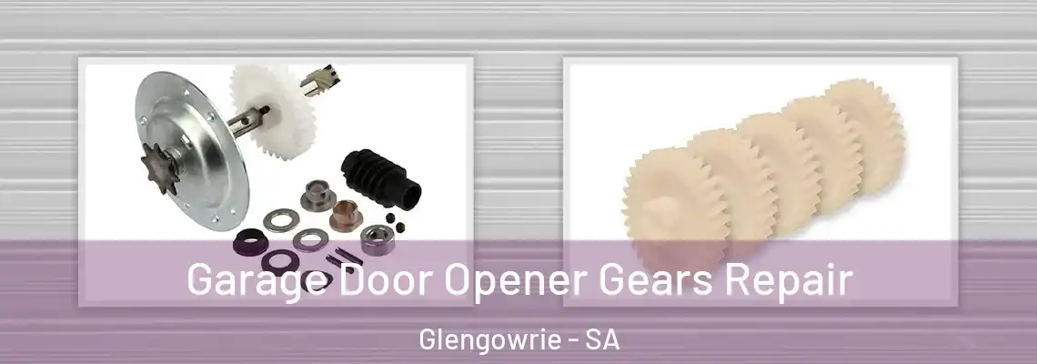  Garage Door Opener Gears Repair Glengowrie - SA