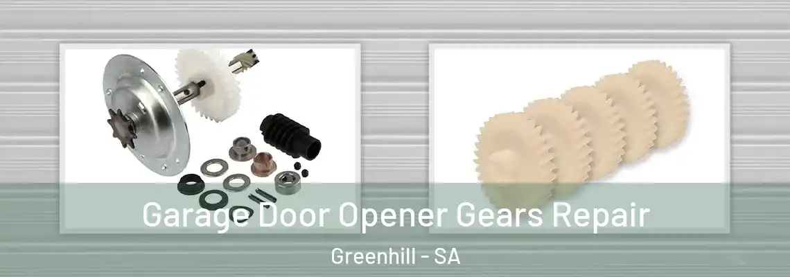Garage Door Opener Gears Repair Greenhill - SA