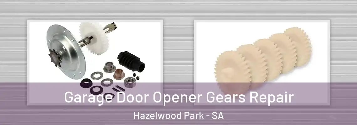 Garage Door Opener Gears Repair Hazelwood Park - SA
