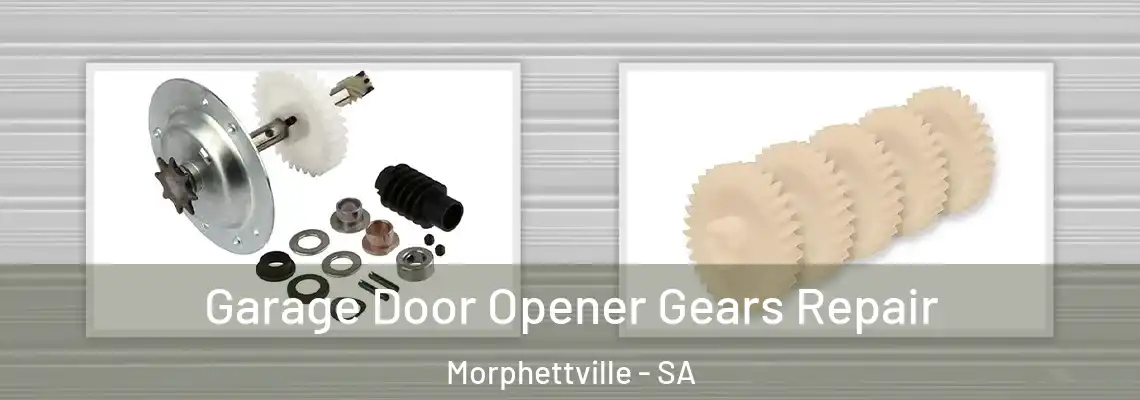 Garage Door Opener Gears Repair Morphettville - SA