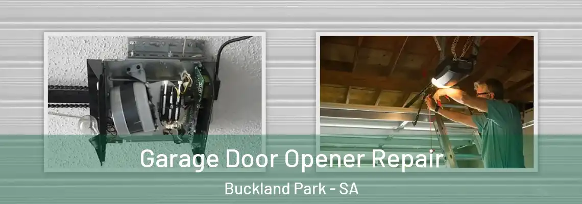 Garage Door Opener Repair Buckland Park - SA