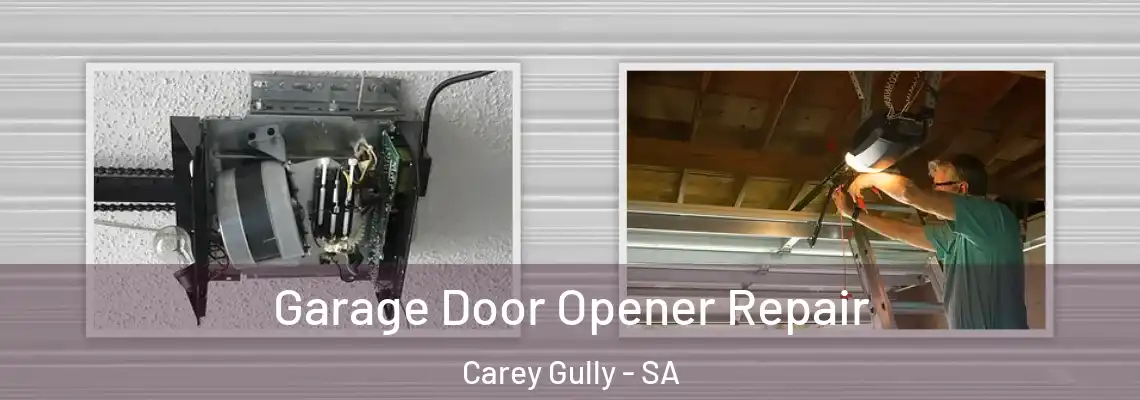 Garage Door Opener Repair Carey Gully - SA