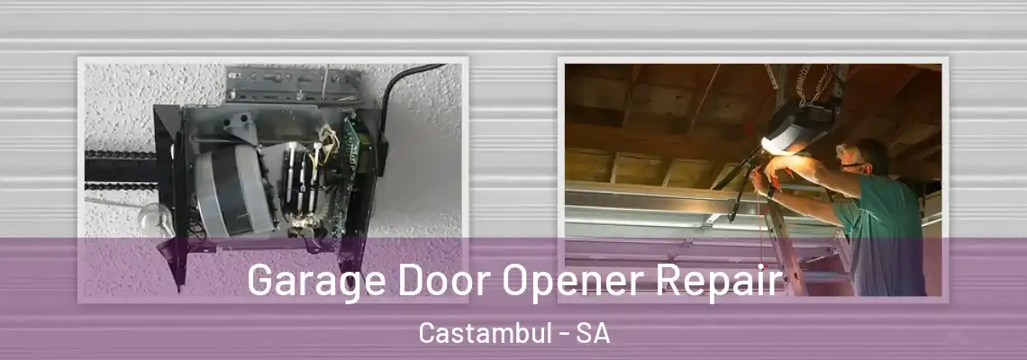  Garage Door Opener Repair Castambul - SA