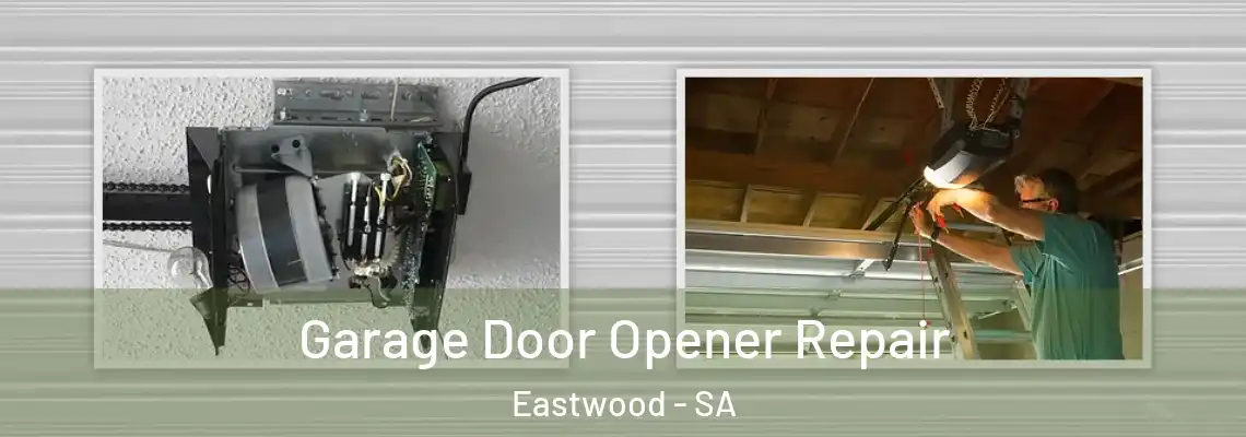 Garage Door Opener Repair Eastwood - SA