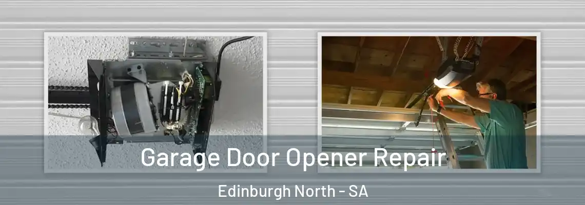 Garage Door Opener Repair Edinburgh North - SA