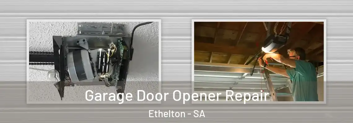 Garage Door Opener Repair Ethelton - SA