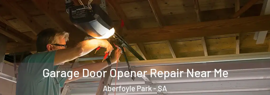 Garage Door Opener Repair Near Me Aberfoyle Park - SA