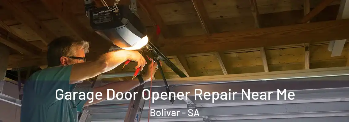 Garage Door Opener Repair Near Me Bolivar - SA