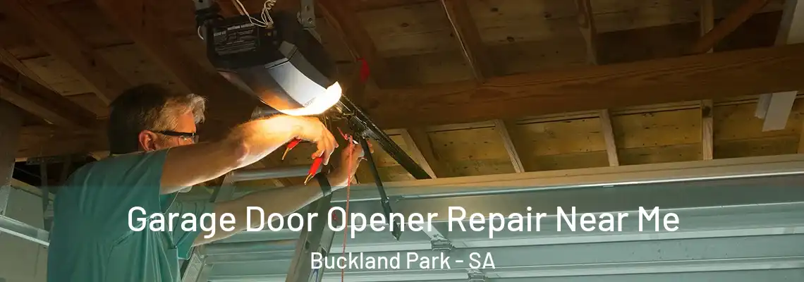  Garage Door Opener Repair Near Me Buckland Park - SA