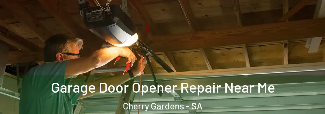 Garage Door Opener Repair Near Me Cherry Gardens - SA