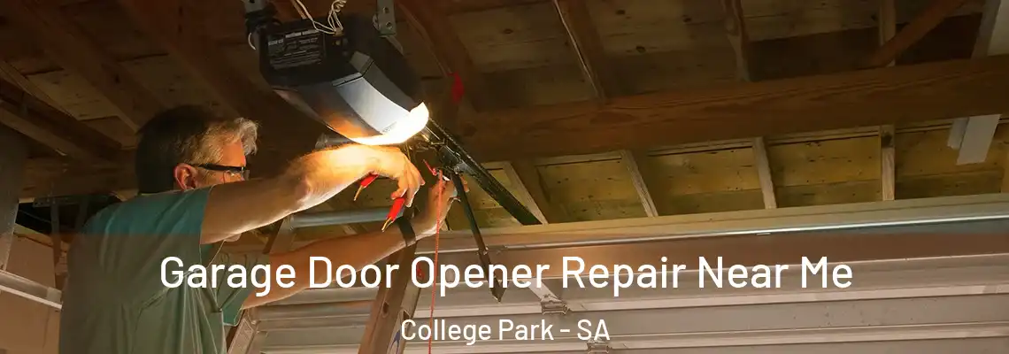 Garage Door Opener Repair Near Me College Park - SA