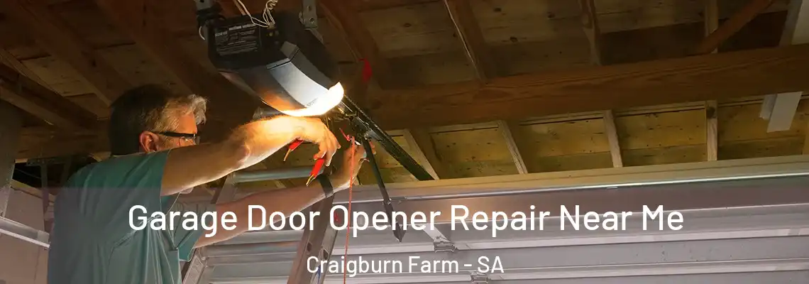  Garage Door Opener Repair Near Me Craigburn Farm - SA