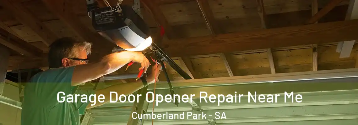  Garage Door Opener Repair Near Me Cumberland Park - SA