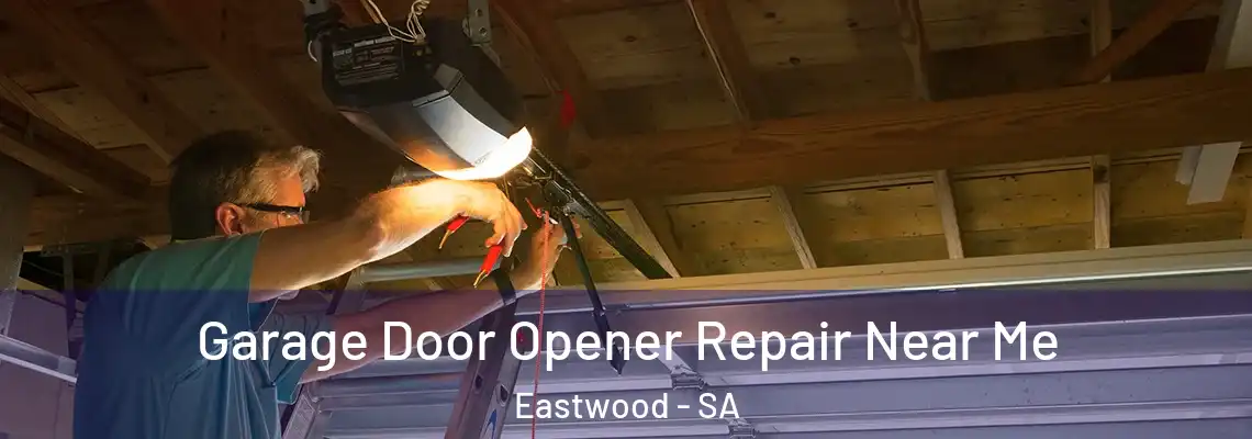  Garage Door Opener Repair Near Me Eastwood - SA