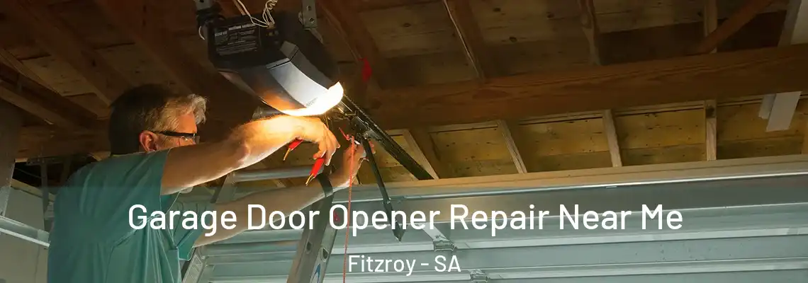  Garage Door Opener Repair Near Me Fitzroy - SA