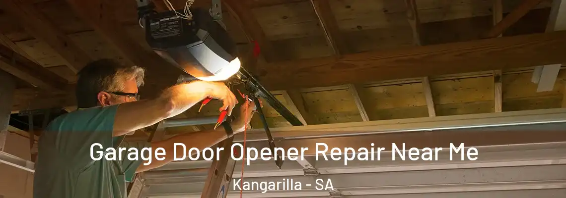 Garage Door Opener Repair Near Me Kangarilla - SA