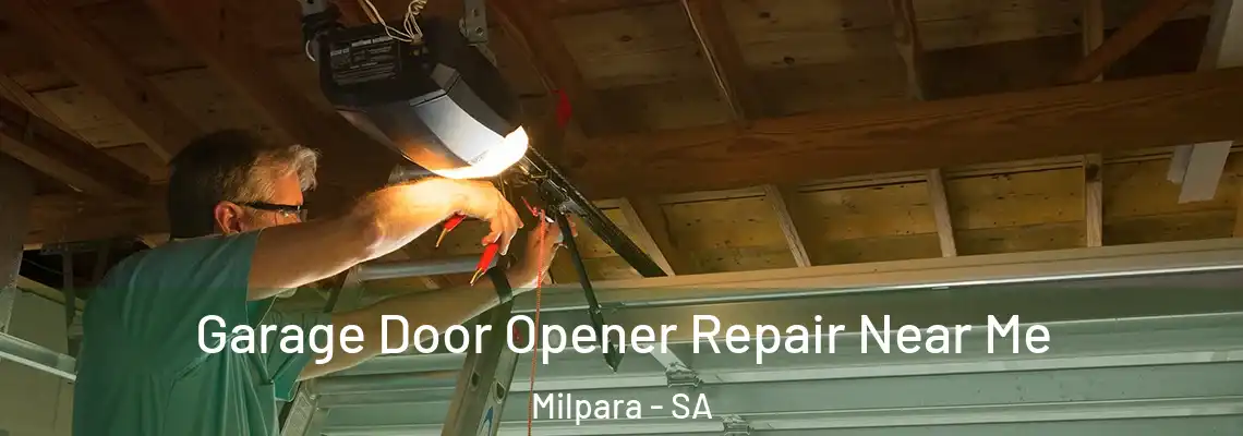  Garage Door Opener Repair Near Me Milpara - SA
