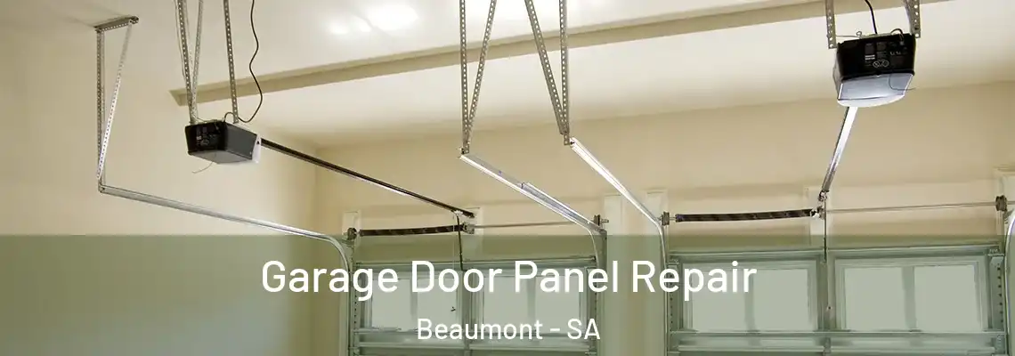 Garage Door Panel Repair Beaumont - SA
