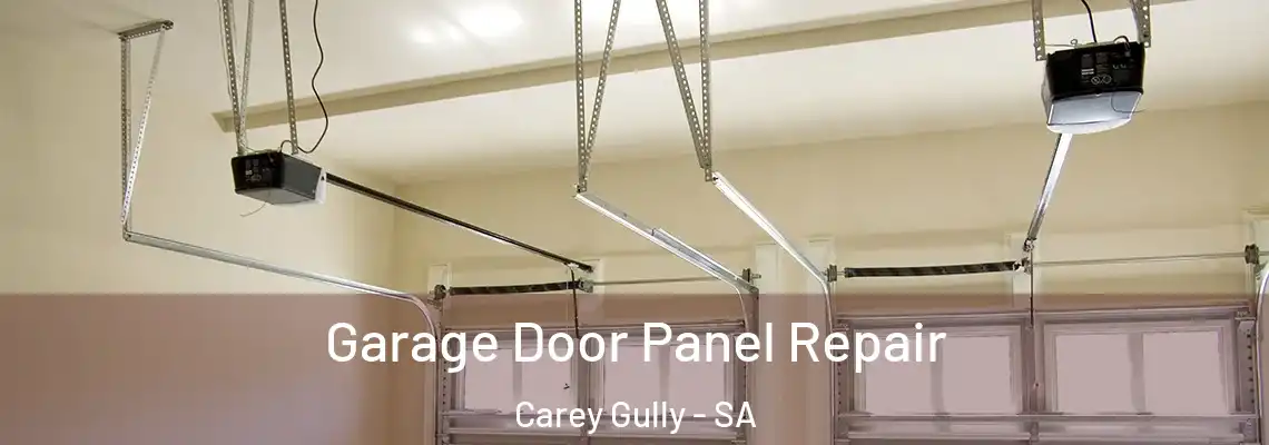 Garage Door Panel Repair Carey Gully - SA