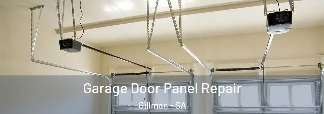  Garage Door Panel Repair Gillman - SA