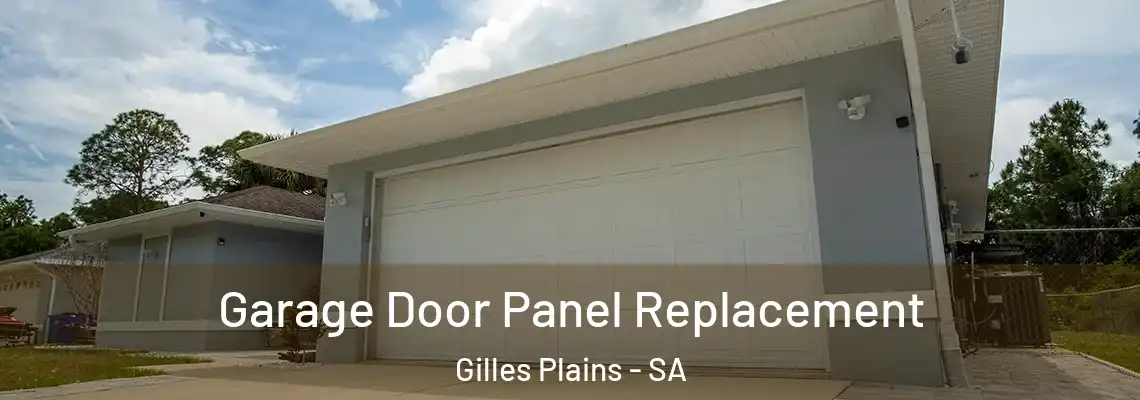 Garage Door Panel Replacement Gilles Plains - SA