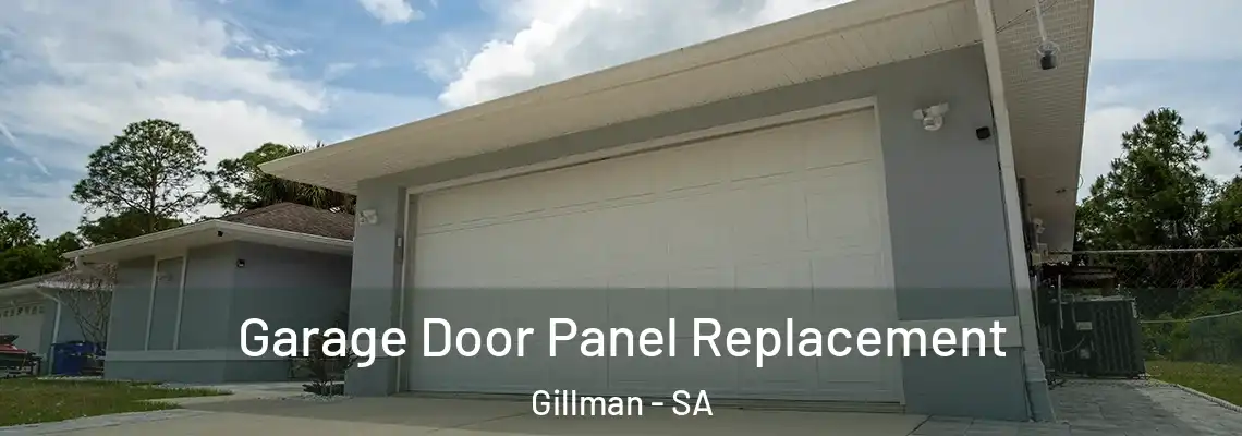 Garage Door Panel Replacement Gillman - SA