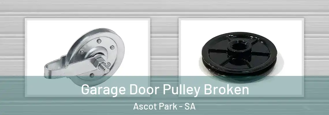  Garage Door Pulley Broken Ascot Park - SA