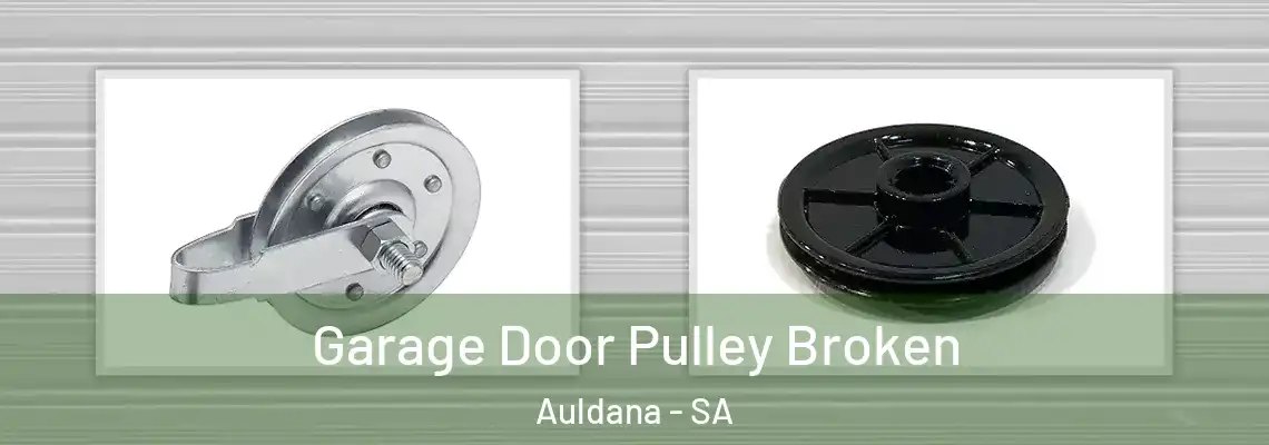  Garage Door Pulley Broken Auldana - SA