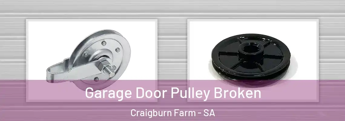  Garage Door Pulley Broken Craigburn Farm - SA