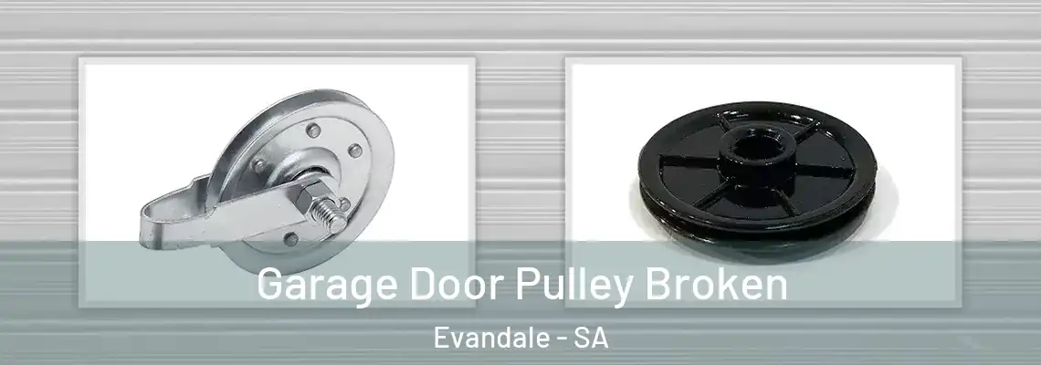  Garage Door Pulley Broken Evandale - SA