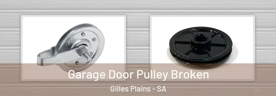  Garage Door Pulley Broken Gilles Plains - SA