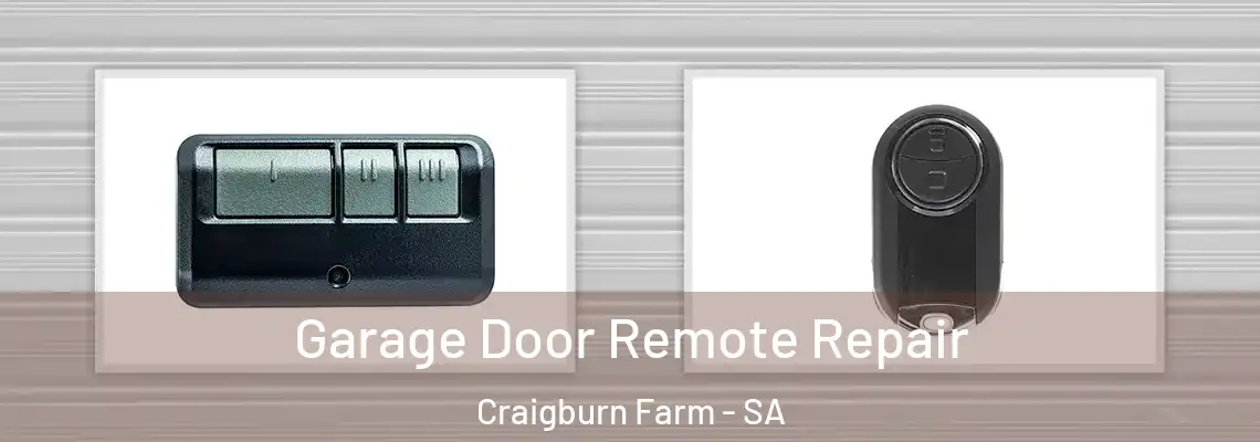 Garage Door Remote Repair Craigburn Farm - SA