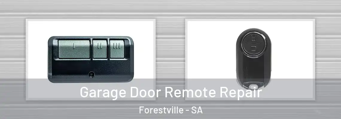 Garage Door Remote Repair Forestville - SA