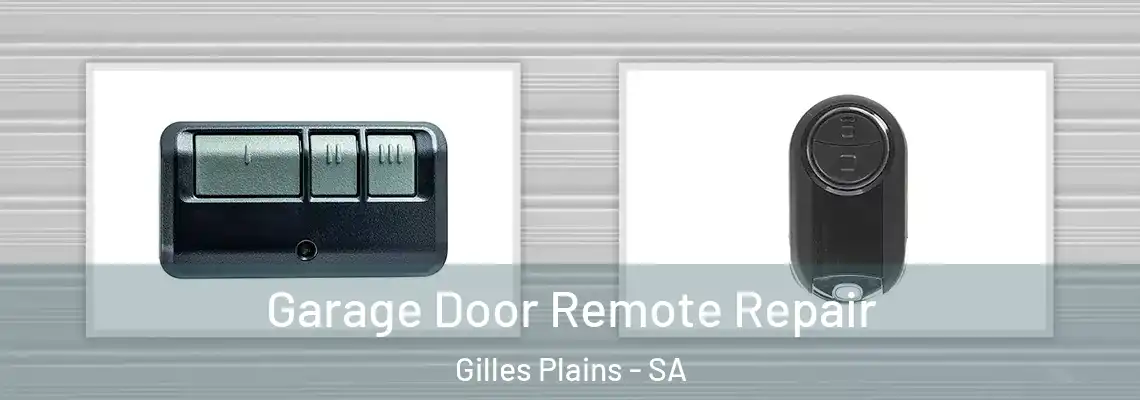  Garage Door Remote Repair Gilles Plains - SA