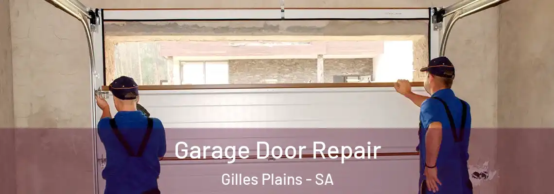 Garage Door Repair Gilles Plains - SA