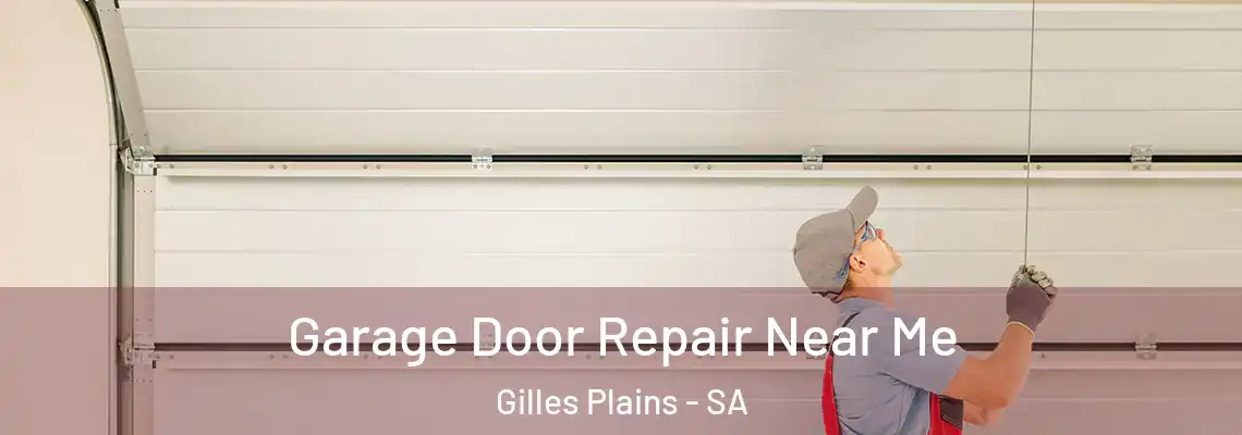  Garage Door Repair Near Me Gilles Plains - SA