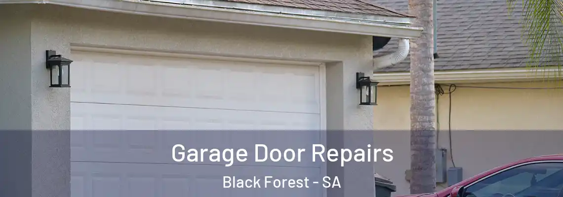 Garage Door Repairs Black Forest - SA