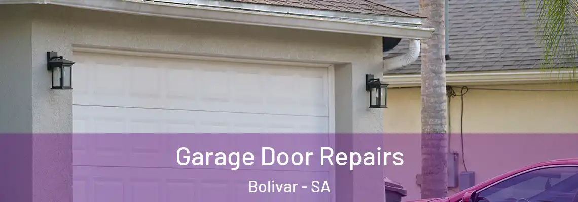 Garage Door Repairs Bolivar - SA